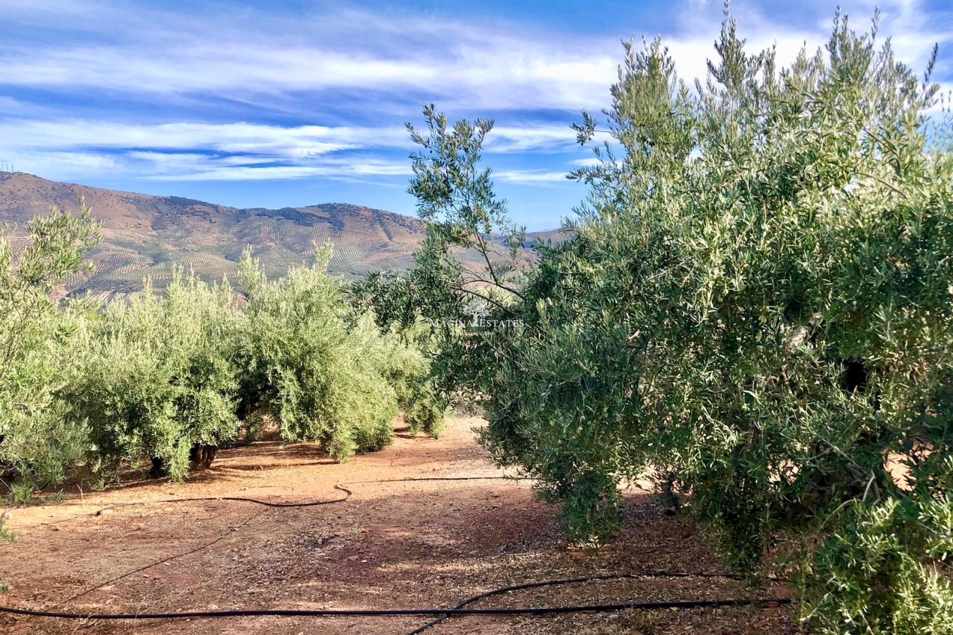 Resale - Plot / Land - Huelma - Sierra Mágina