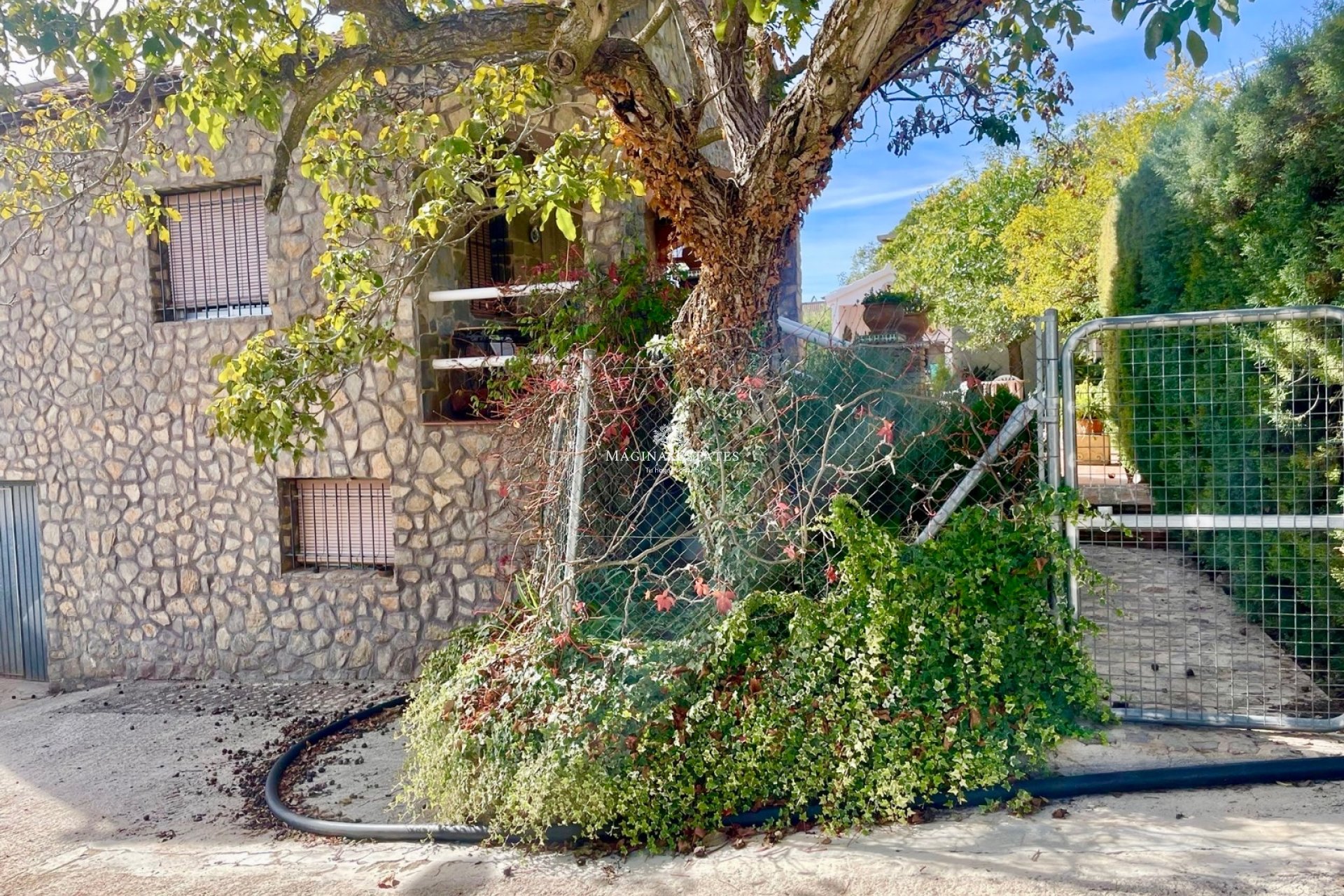 Resale - Plot / Land - Huelma - Sierra Mágina