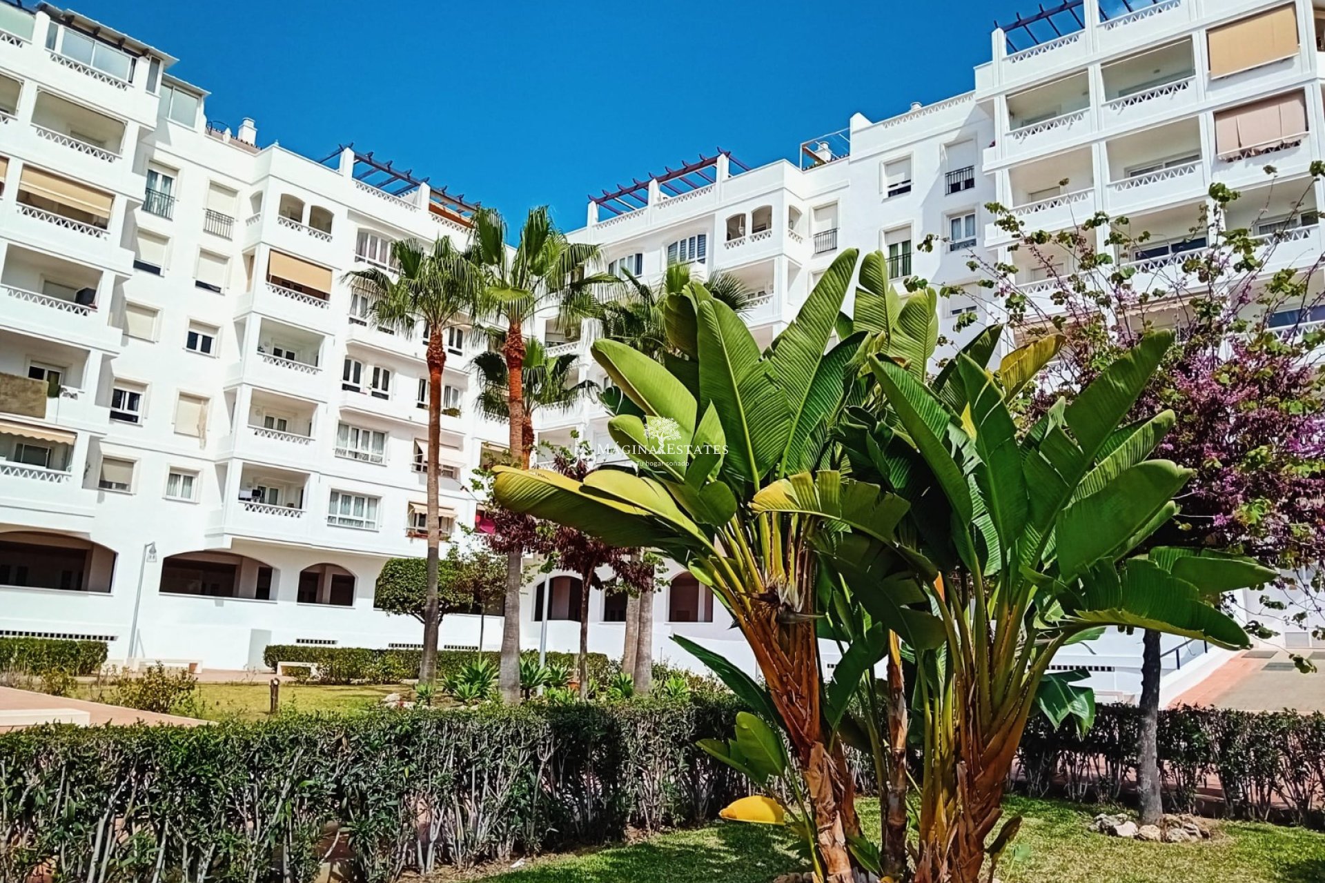 Reventa - Apartamento / piso - Marbella - Nueva Andalucía