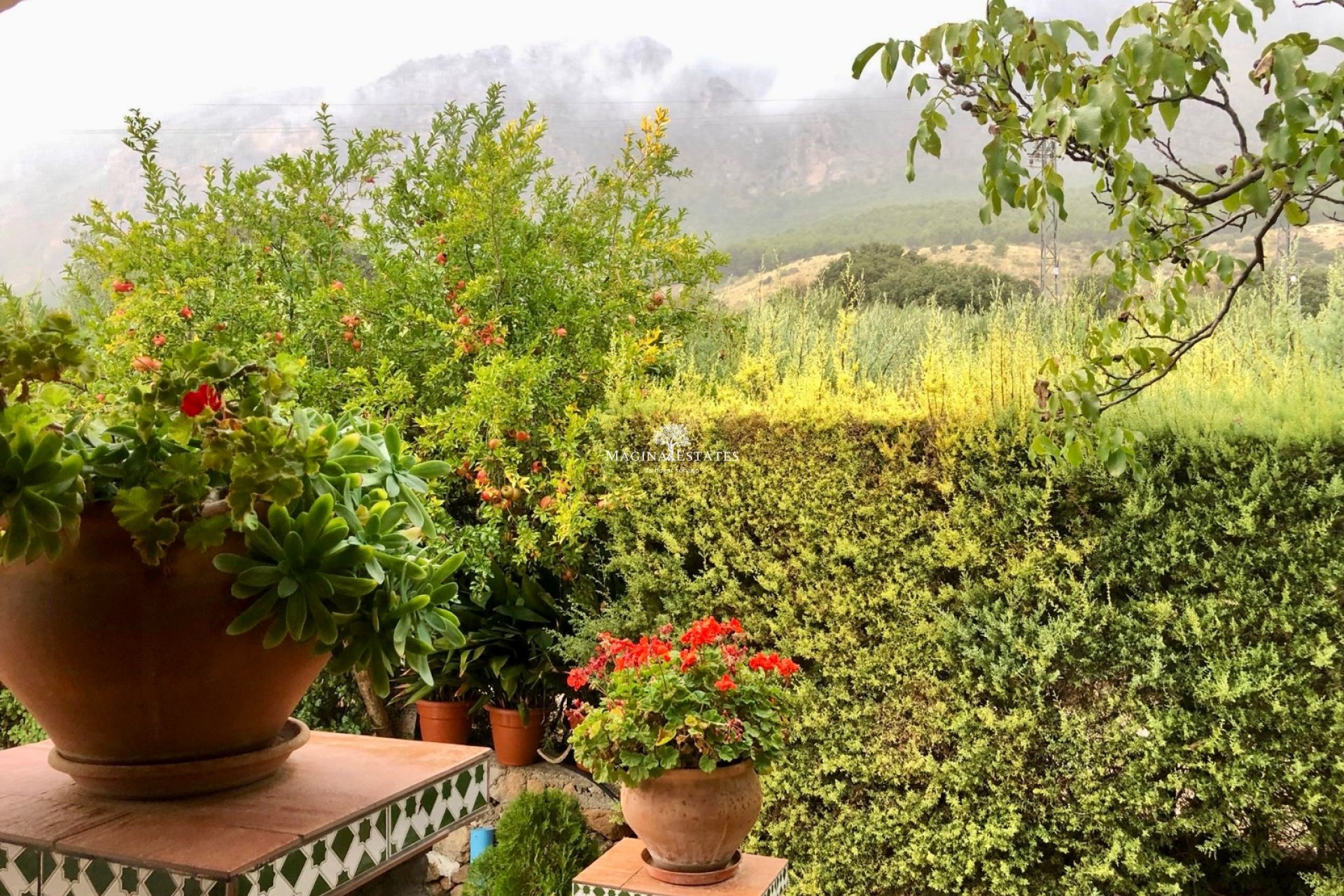 Reventa - Parcela / Terreno - Huelma - Sierra Mágina