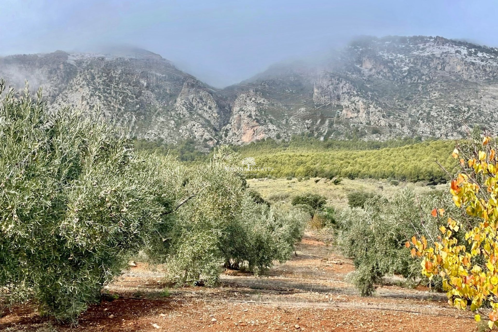 Reventa - Parcela / Terreno - Huelma - Sierra Mágina