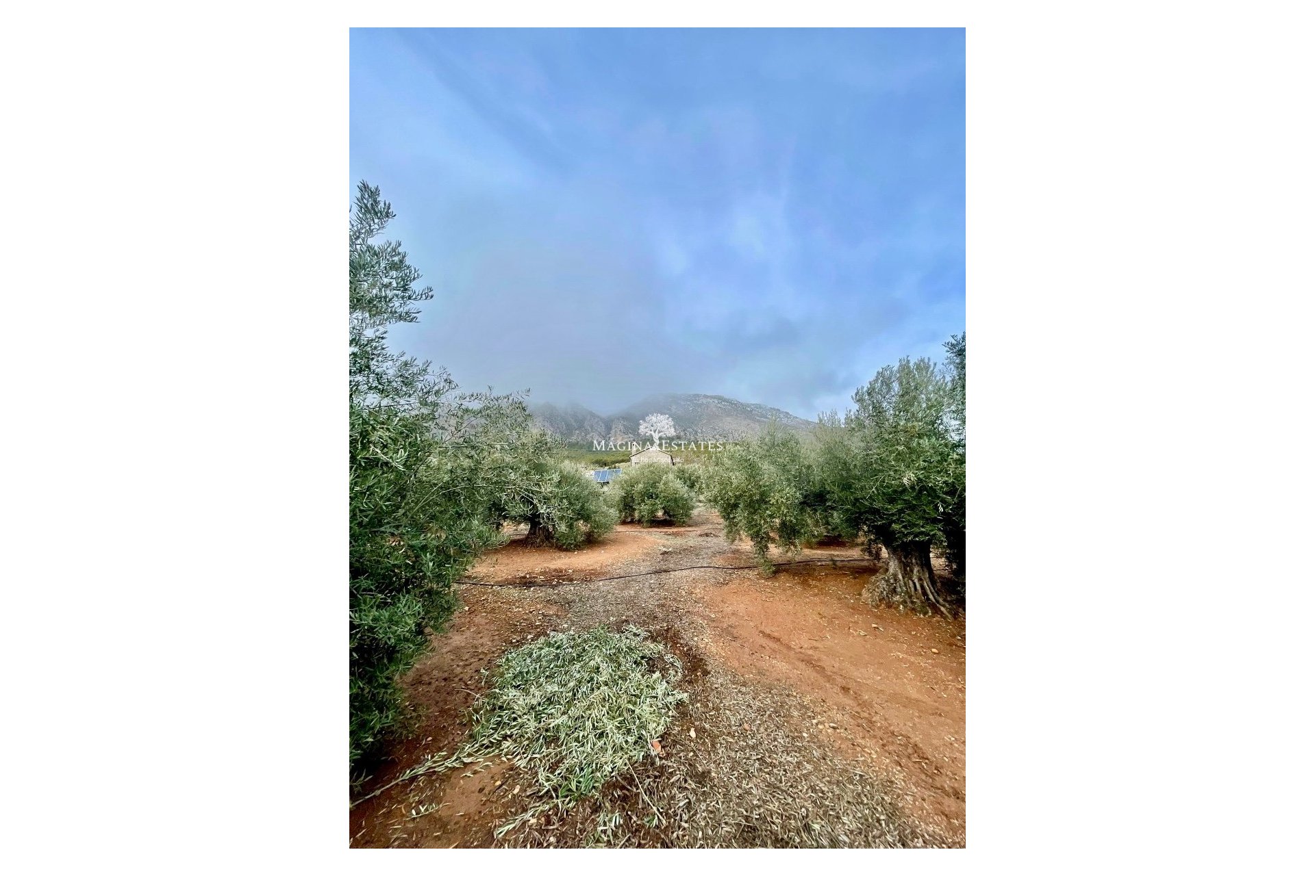 Reventa - Parcela / Terreno - Huelma - Sierra Mágina