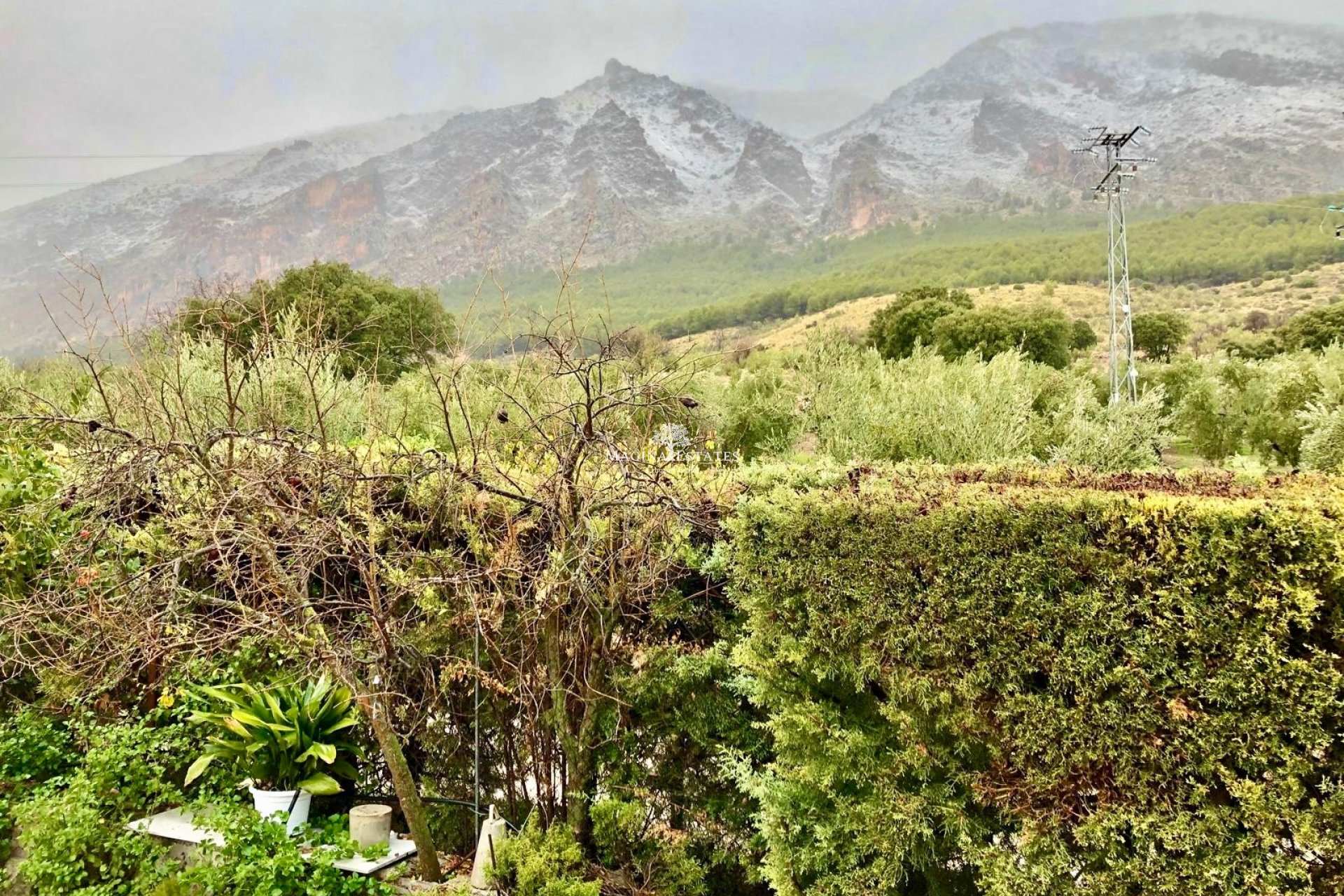 Revente - Parcelle / Terrain - Huelma - Sierra Mágina