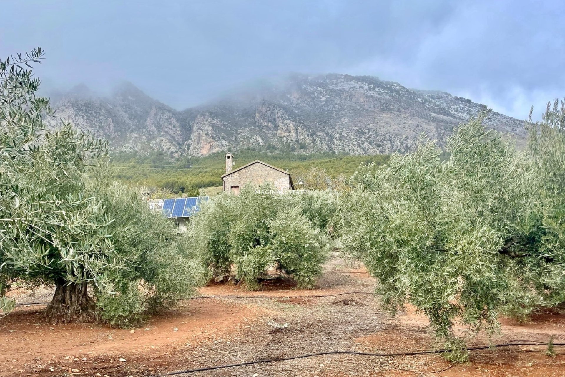 Revente - Parcelle / Terrain - Huelma - Sierra Mágina