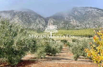 Reventa - Parcela / Terreno - Huelma - Sierra Mágina