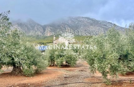 Reventa - Parcela / Terreno - Huelma - Sierra Mágina